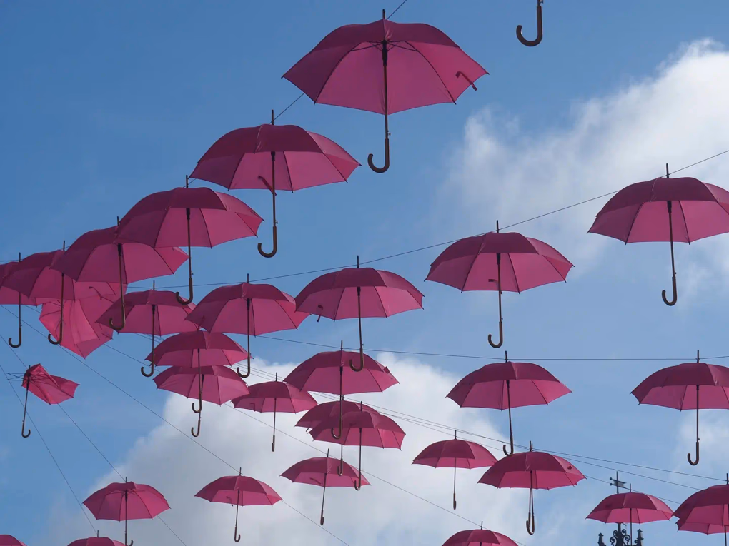 10 dicas para o Estatuto Social da sua Organização